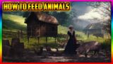 Medieval Dynasty How To Feed Animals