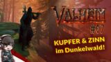 VALHEIM #07 – Kupfer und Zinn im Dunkelwald – Singleplayer – Gameplay German, Deutsch