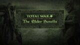 The Elder Scrolls: Total War 2.0 – Installation Guide