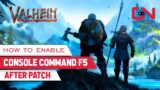 Valheim How to Enable Console Command F5 After Patch