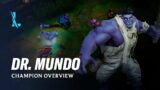 Dr. Mundo Champion Overview | Gameplay – League of Legends: Wild Rift