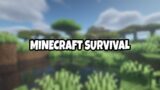 Plain Regular Minecraft Survival | CRACKED with Bedrock Support
