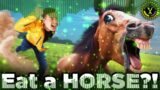 EAT A HORSE!? (FNF danger but its matpat and a horse)